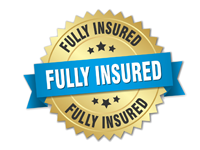 Fully Insured Carpet & Upholstery Cleaner